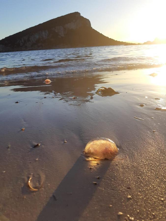 B&B Marina Olbia Dış mekan fotoğraf