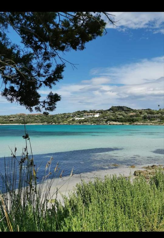 B&B Marina Olbia Dış mekan fotoğraf