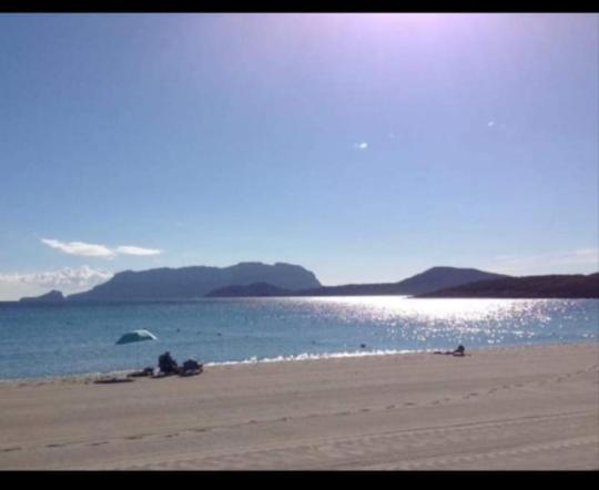 B&B Marina Olbia Dış mekan fotoğraf